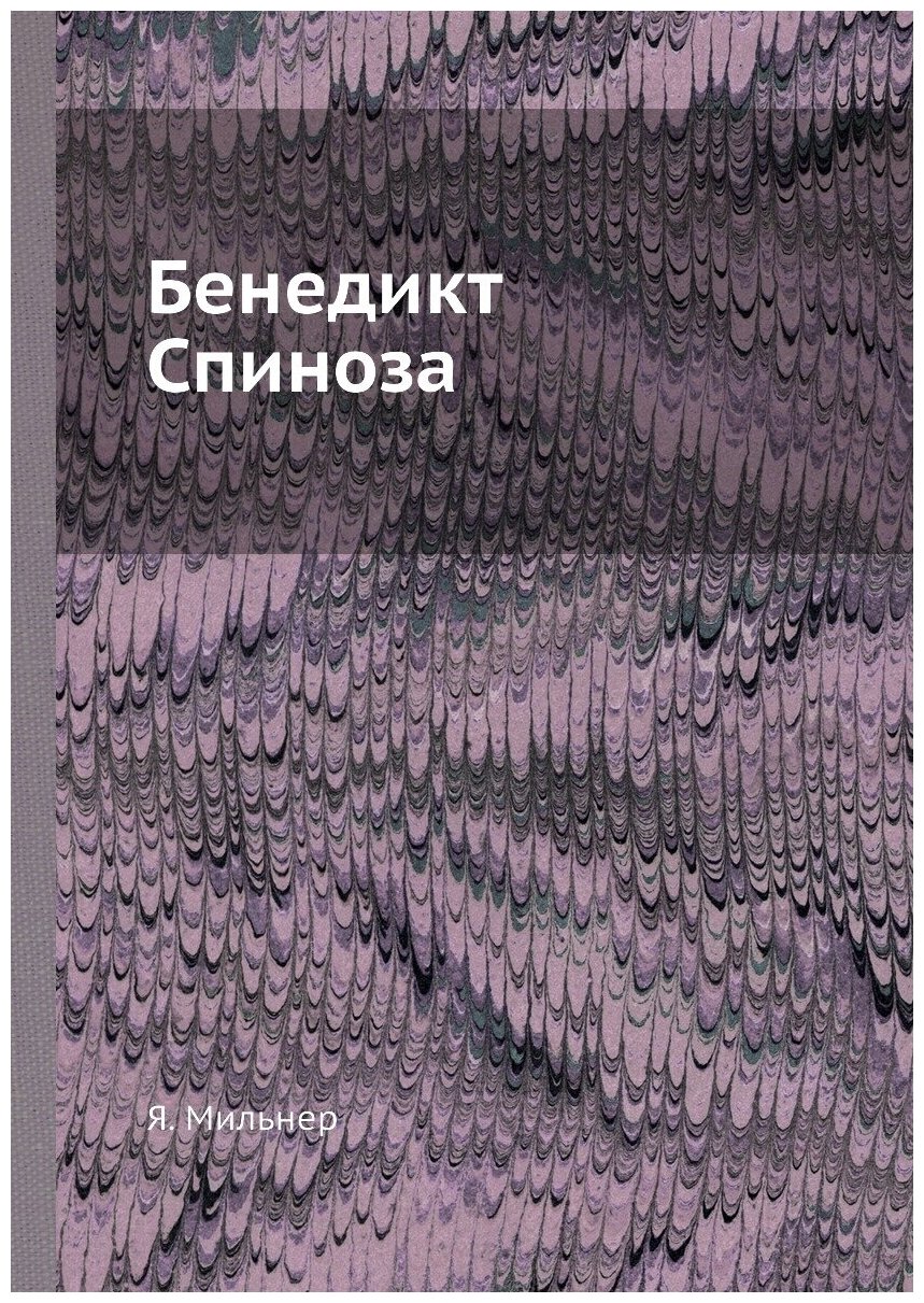 Книга Бенедикт Спиноза (Мильнер-Иринин Яков Абрамович) - фото №1