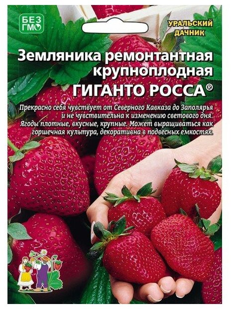 Семена Земляники ремонтантной крупноплодной "Гиганто Росса" (10 семян)