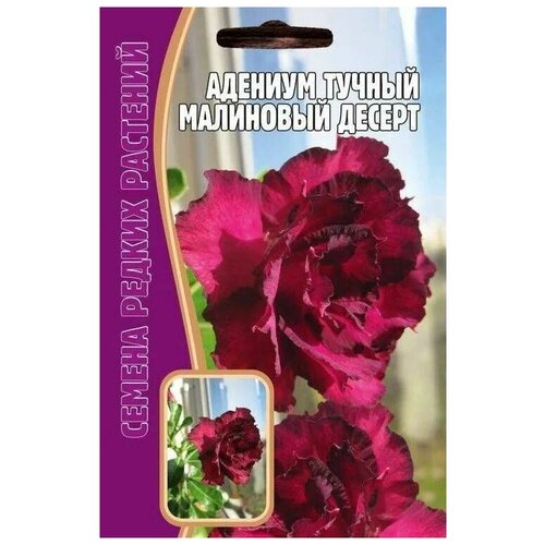 Адениум Малиновый десерт 3 (сем) редкие семена семена адениум золотое дно 3 сем 2 подарка