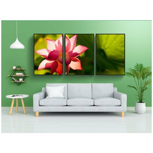 фото Набор модулных постеров для интерьера "цветок, лотос, розовый" 60x90 см. в тубусе, без рамки lotsprints