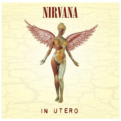 виниловые пластинки виниловая пластинка nirvana in utero lp Виниловая пластинка Nirvana. In Utero (LP)