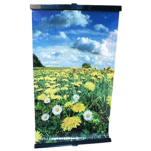 Обогреватель настенный Поле 161500₽