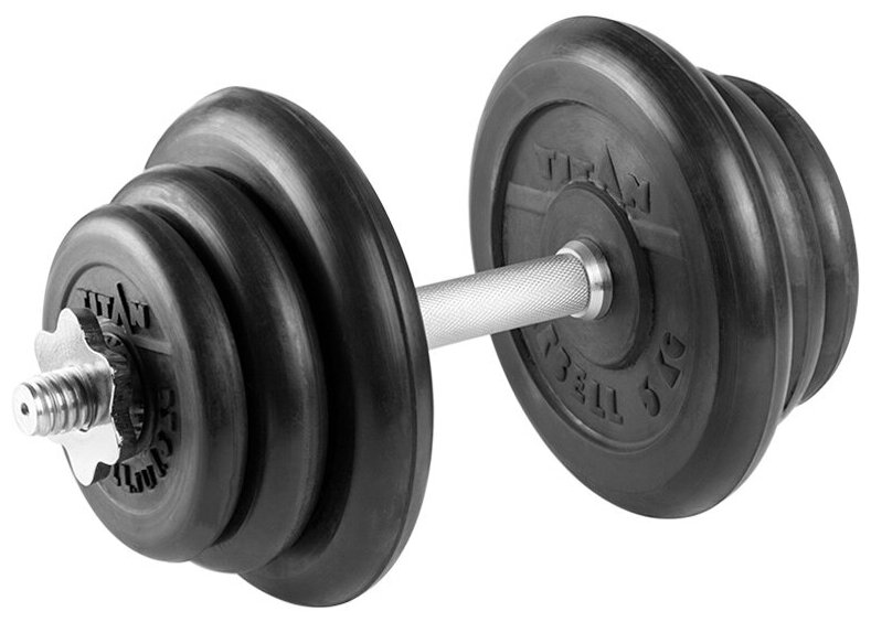 Гантель разборная 20 кг TITAN Barbell - d31, Комплектация №1 с железной ручкой