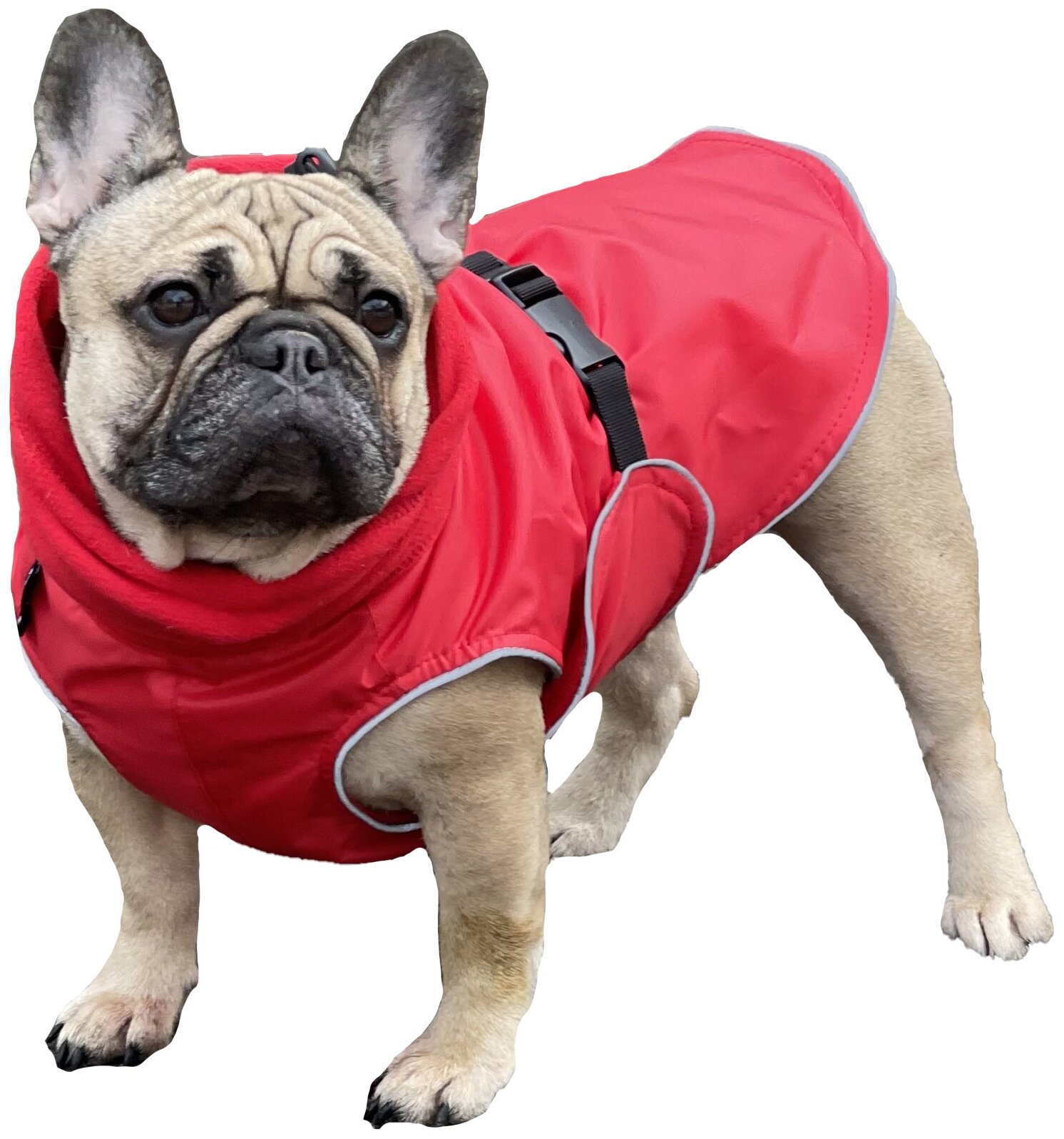 Попона для собак породы французcкий бульдог, красный, размер М - фотография № 2