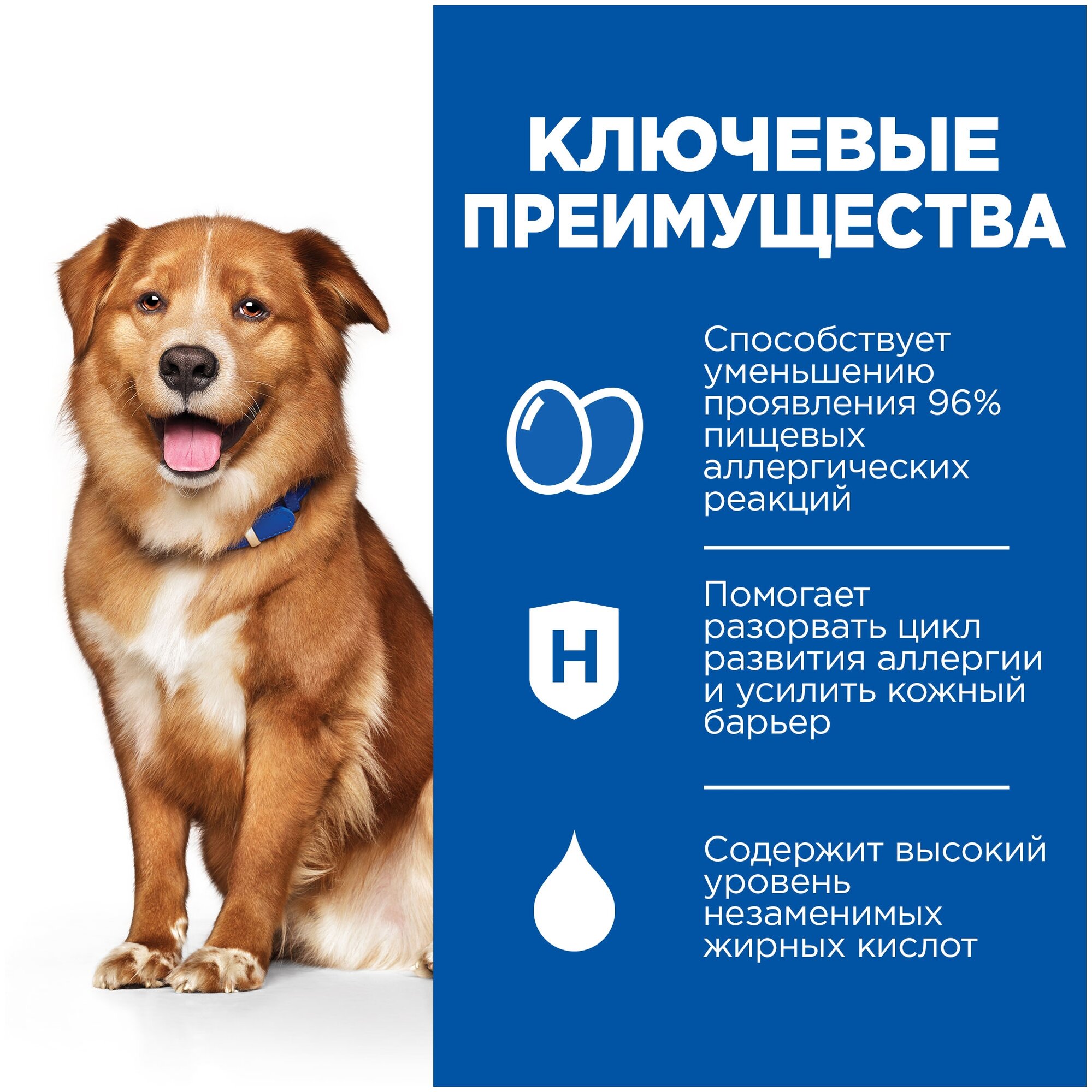 Сухой диетический корм для взрослых собак Hill's Prescription Diet Derm Complete при аллергии, 1,5кг - фотография № 15