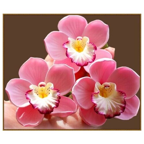 Алмазная мозаика Розовая орхидея 40x35 см. алмазная мозаика букет 40x35 см