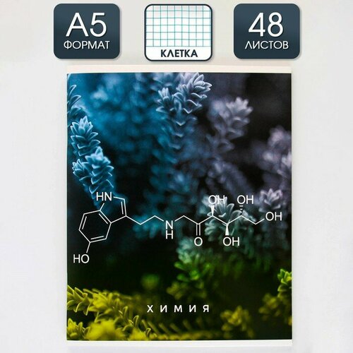 Предметная тетрадь, 48 листов, «природа », со справочными материалами «Химия»