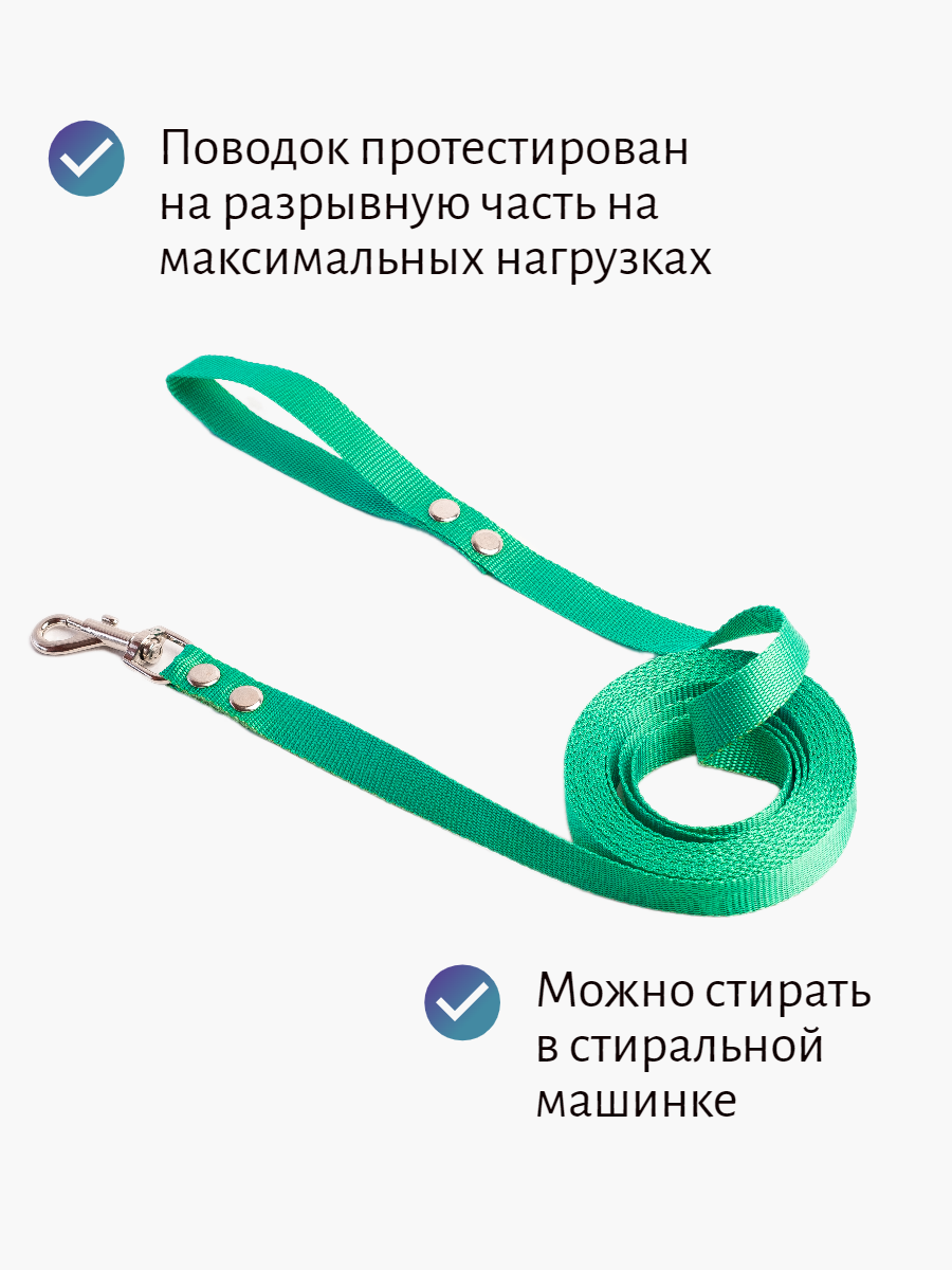 Поводок Хвостатыч для собак нейлоновый классический 1.5 м х 20 мм (бирюзовый)