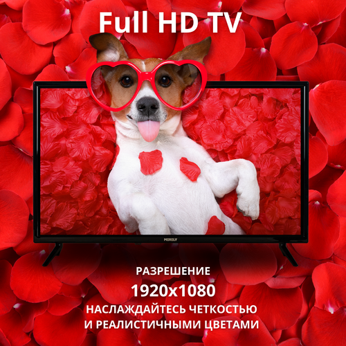 Телевизор 43 MERELY MRL-LED43FHD100T2 DVB-T2 1999900₽
