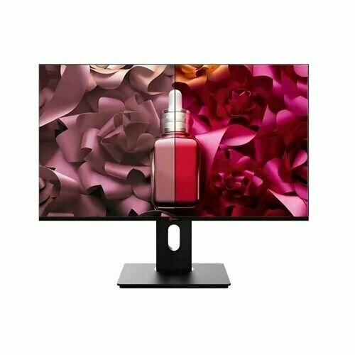 Монитор PINEBRO 238 989000₽