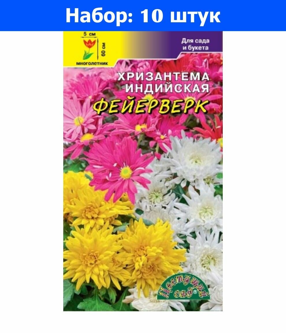 Хризантема Индийская Фейерверк 002г Одн 60см (Цвет сад) - 10 пачек семян