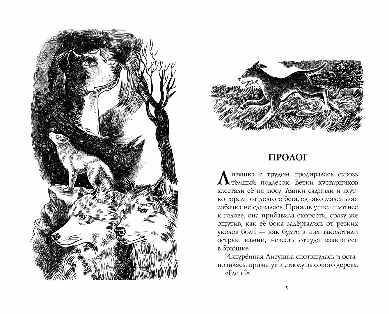 Путь изгнанницы (Э. Хантер) - фото №2