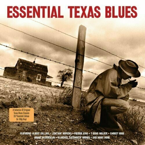 Виниловая пластинка Essential Texas Blues - Vinyl. 2 LP виниловая пластинка essential memphis blues 180g 2 lp