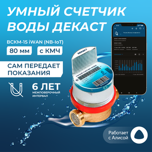 Умный счётчик воды Декаст 80мм