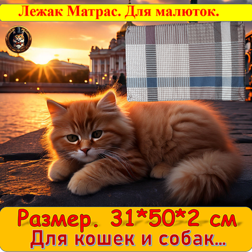 Лежак-матрас 50*31*2 см ГЮ-ВАС/ лежанка для средних пород собак и кошек.