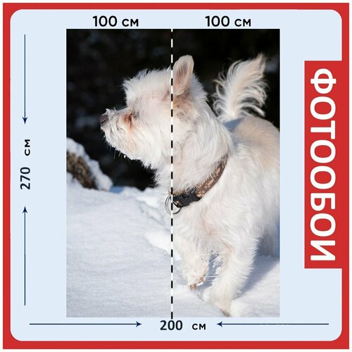 Фотообои Собака белый зима на стену 270x200 см 2970₽