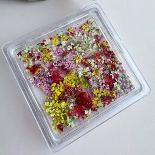 Микс сухоцветов Pink House Полюшко №06