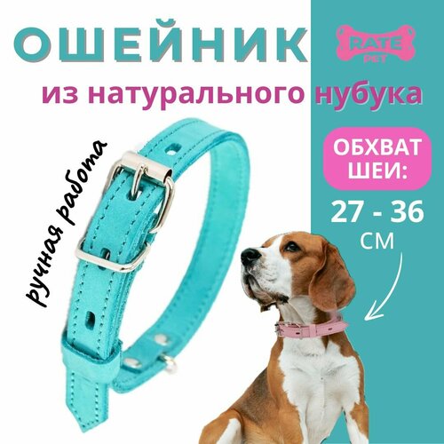 Ошейник для собак кожаный (нубук), обхват шеи 27-36 см, бирюзовый