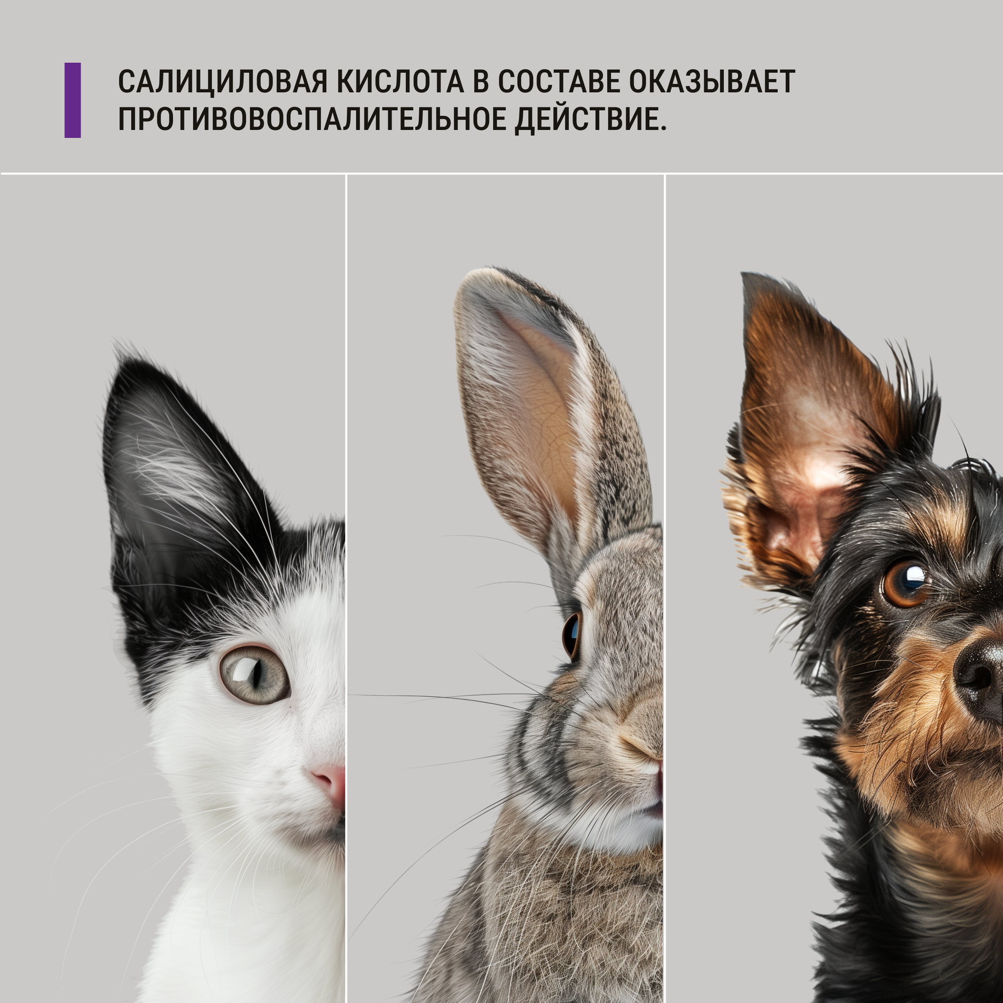 ПреОтик (PreOtik) SQ, лосьон для ушей, для кошек и собак, 100 мл — фото 1