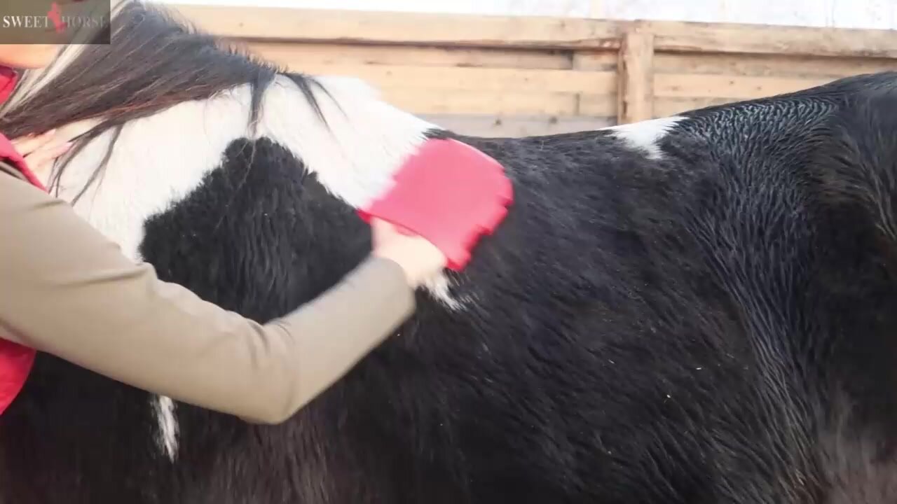 Щетка наручная для животных — фото 1