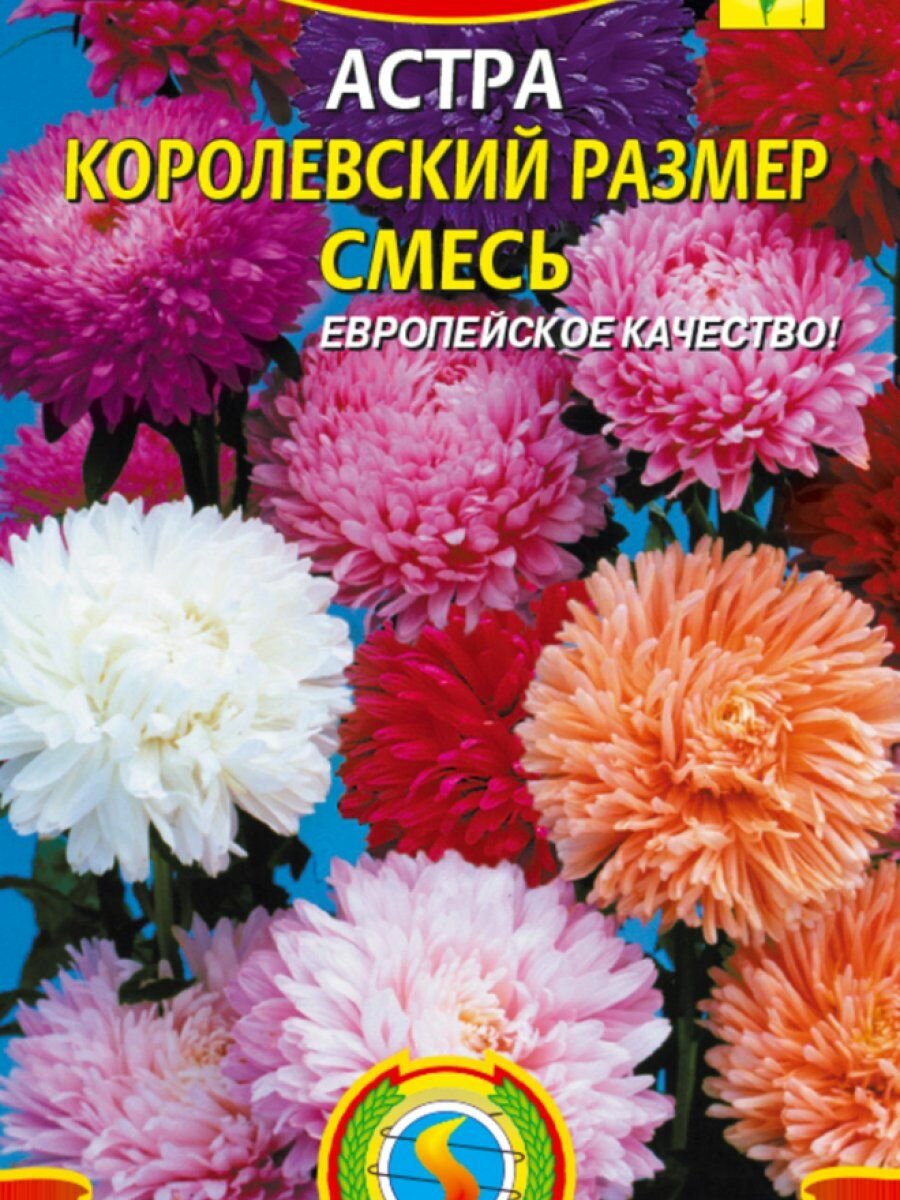 Семена Астра Королевский размер смесь 01 гр Плазменные семена