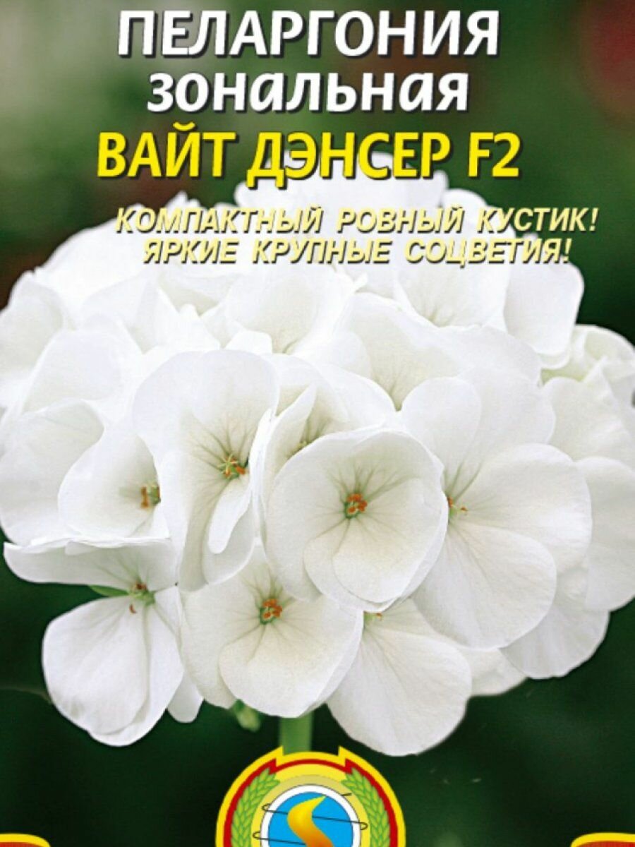 Семена Пеларгония зональная Вайт Дэнсер F2 3 шт Плазменные семена