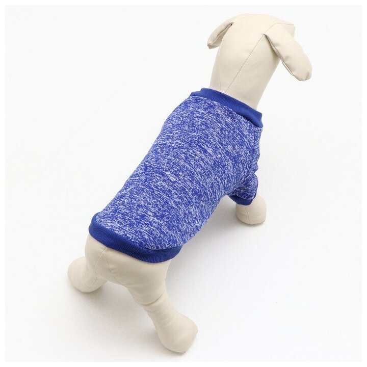 Свитер для собак КНР меланжевый, размер XL, спинка 34, шея 32, грудь 50 см, синий (GG-1) - фотография № 16