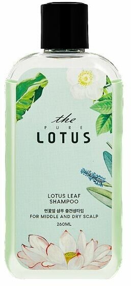 THE PURE LOTUS Шампунь для чувствительной и сухой кожи головы Lotus Leaf Shampoo For Middle & Dry Scalp