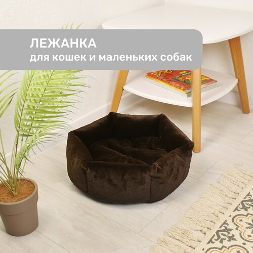Лежанка для кошек и собак мелких пород , темно-коричневая , со съемной подушкой , ZooMoDa .