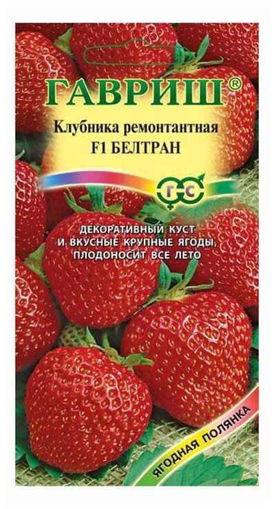 Клубника ремонтантная 