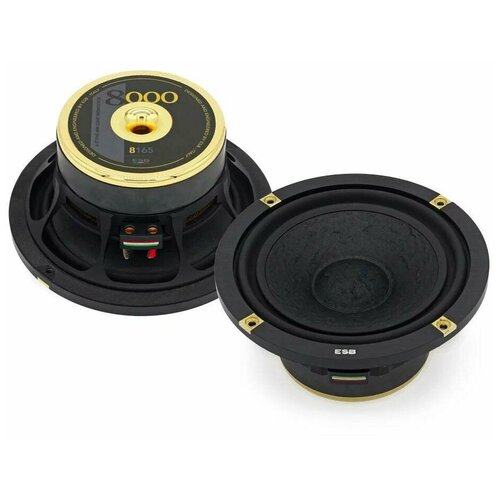 Автомобильная акустика ESB 8165 - НЧ-динамики мидвуферы 6499000₽