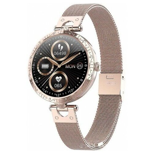 BandRate Smart BRSAK22GGWB 880000₽