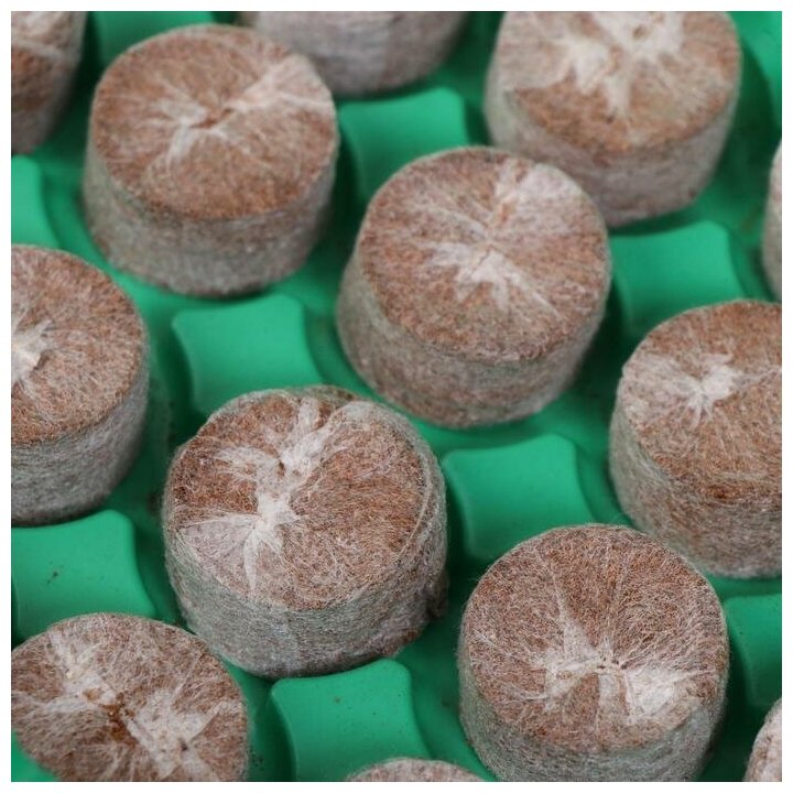 Мини-парник для рассады: кокосовая таблетка d 3 см, 24 шт., jiffy - фотография № 5