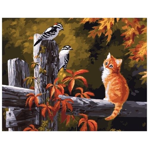 Картина по номерам Colibri Котенок с птичками 40х50 см Холст на подрамнике картина по номерам colibri котенок 40х50 см холст на подрамнике