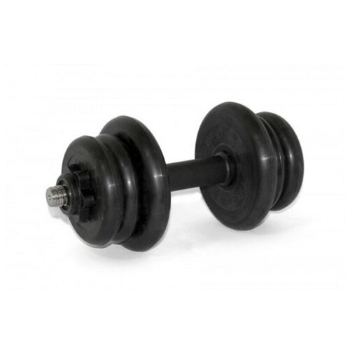 Гантель разборная BARBELL MB-FdbM31-At12 гантель разборная barbell mb fdbm31 at22