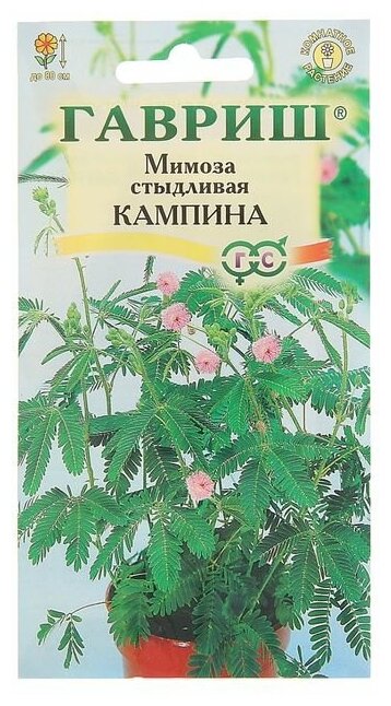 Семена комнатных цветов "Гавриш" Мимоза стыдливая "Кампина", Мн, 0,1 г./В упаковке шт: 3