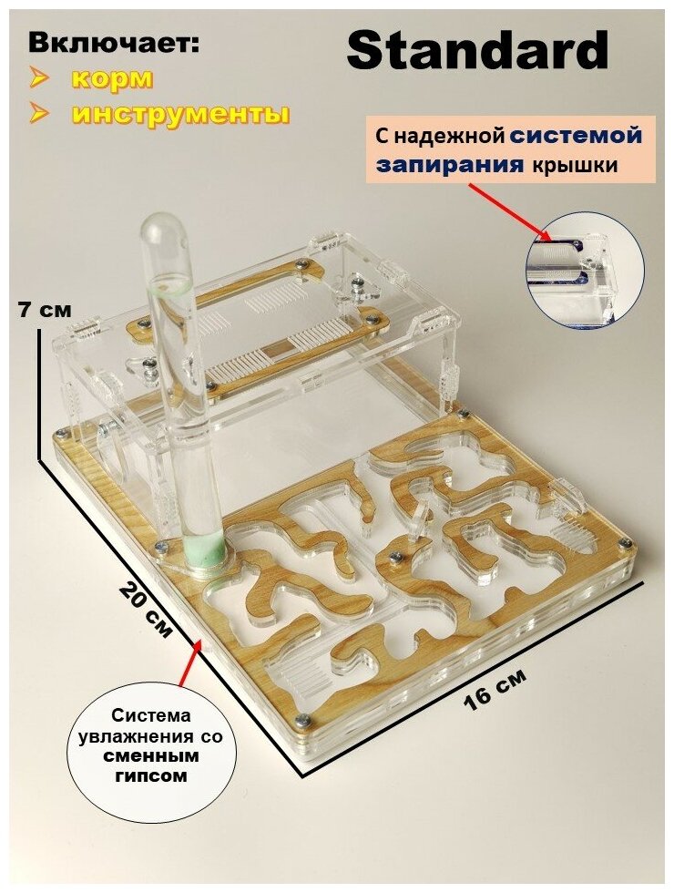 Средняя муравьиная ферма 20х16см "Древесная" с запирающейся крышкой Базовый комплект - фотография № 1