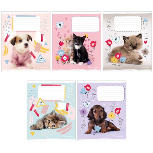 Тетрадь школьная,12л,А5, линейка,Rachael Hale, 15 шт, RH53/5