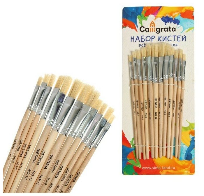Набор кистей щетина плоские 12 штук (№1,2,3,4,5,6,7,8,9,10,11,12) с деревянными ручками 670033