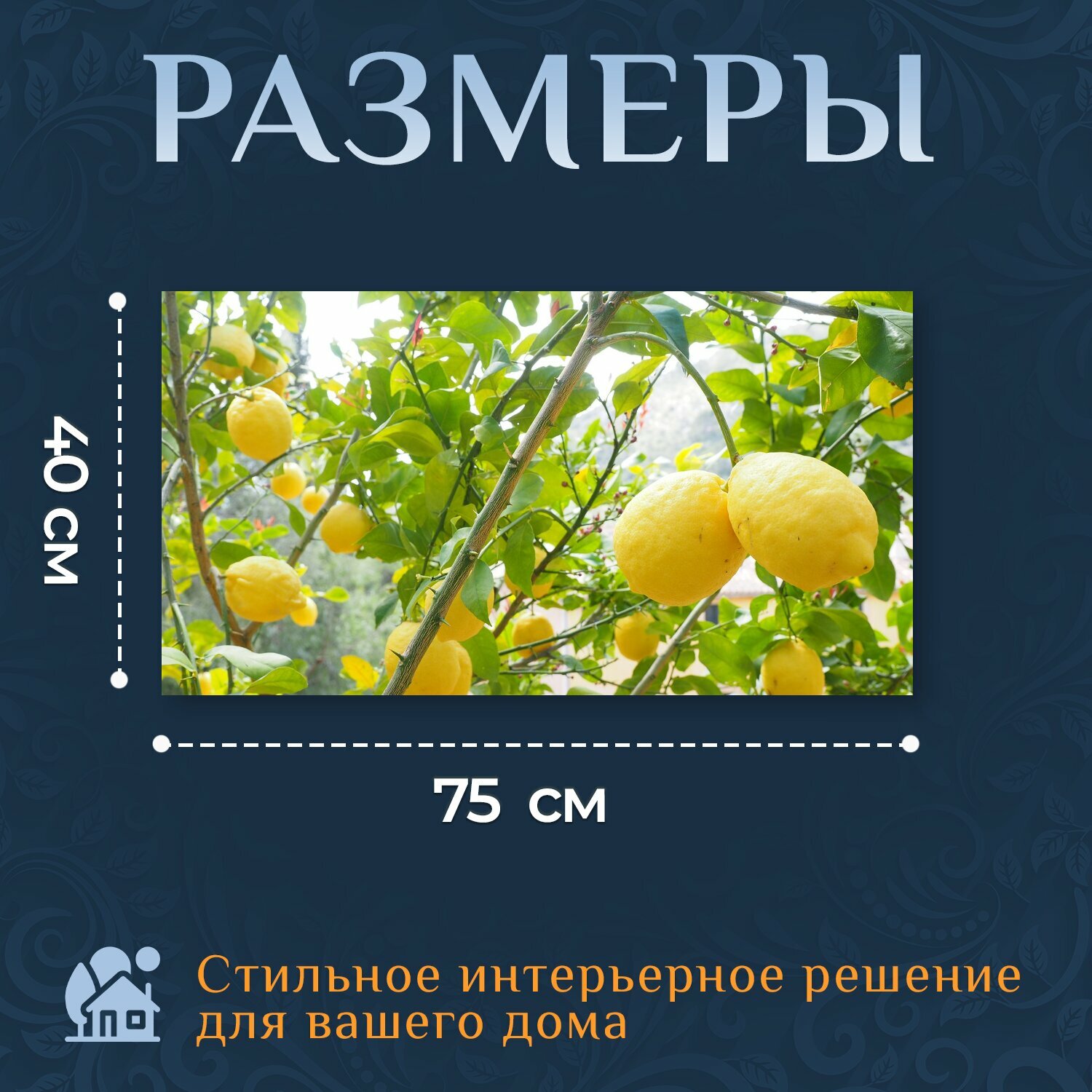 Картина на холсте "Лимон, лимоне, лимонное дерево" на подрамнике 75х40 см. для интерьера