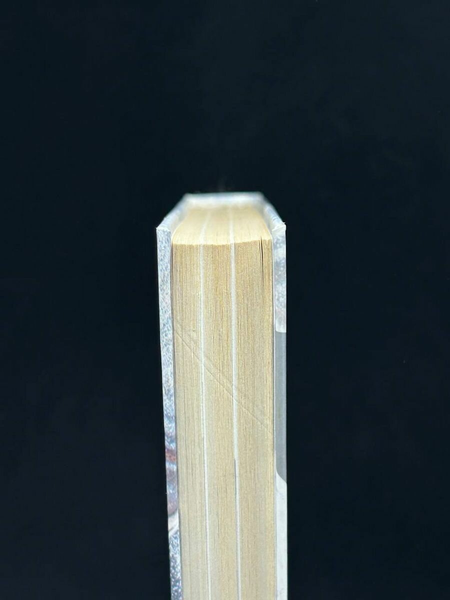 Миллионеры шоу-бизнеса (Лена Ленина) - фото №6