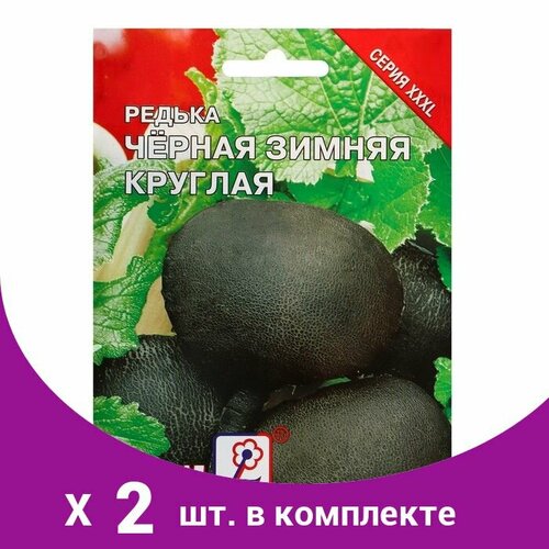 Семена ХХХL Редька Зимняя круглая черная, 10 г (2 шт) семена хххl редька зимняя круглая черная 10 г 2 упак