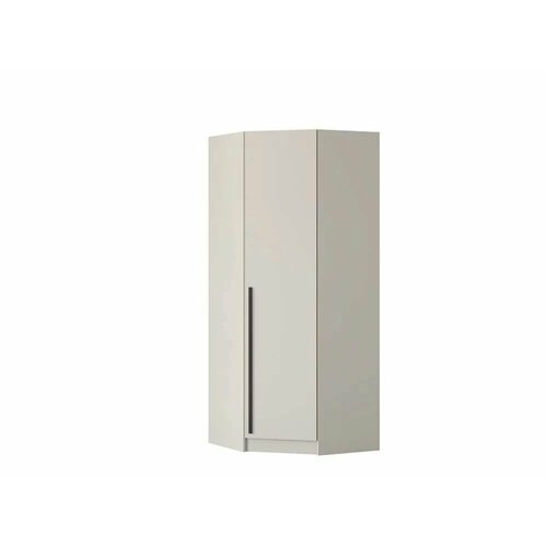 Шкаф для одежды распашной угловой 