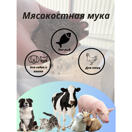 Мясокостная мука мука мясокостная в упаковке 1кг мука кормовая экструдированная мясокостная мука мясокостная для растений