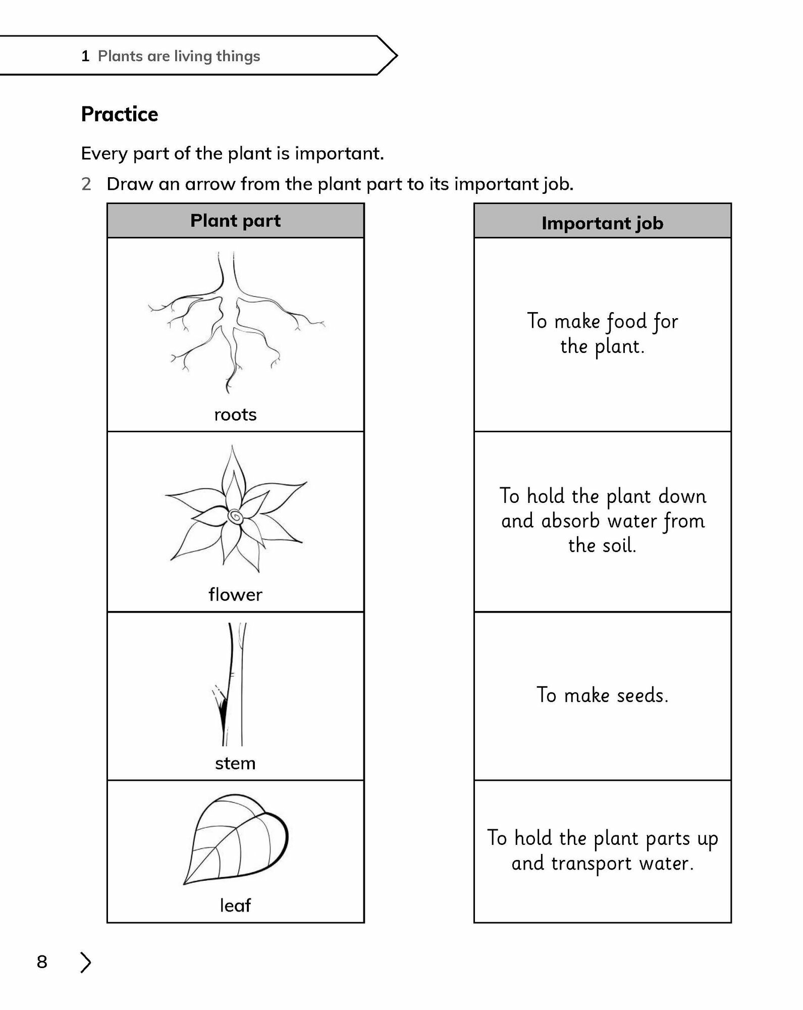 Cambridge Primary Science. Workbook 3 with Digital Access - фото №3