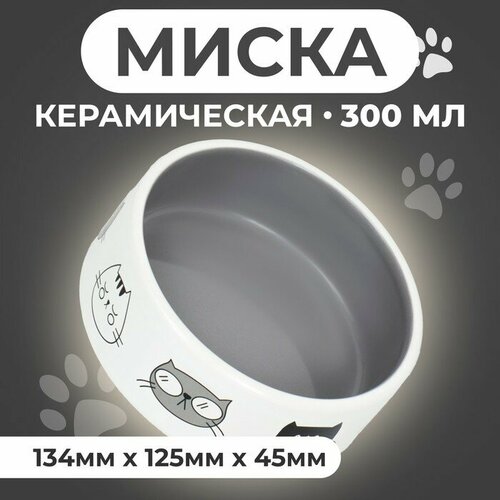 Миска керамическая Четыре кота 300 мл 12,5 x 4,5 cм, бело-серая