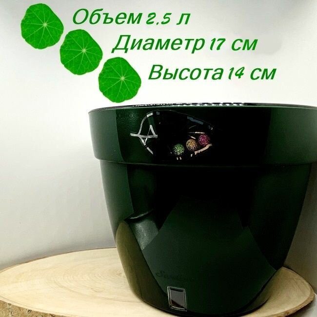 фото Горшок/Кашпо асти 2,5 л Антрацит-Белый