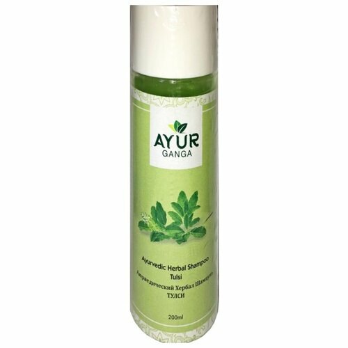 Ayurvedic Herbal Shampoo TULSI, Ayur Ganga (Аюрведический хербал шампунь тулси), 200 мл. 100 1000g tulsi extract powder ocimum sanctum l 10 1