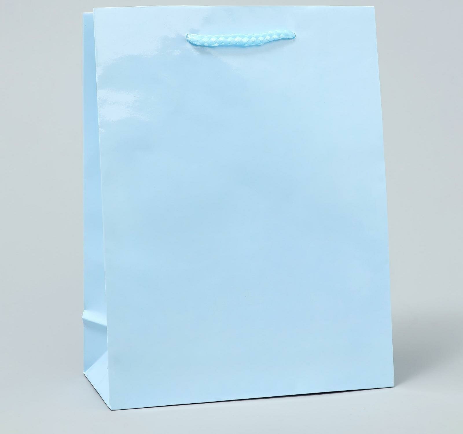 Пакет ламинированный "Голубой", MS 18 х 23 х 8 см