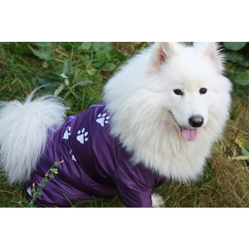 Дождевик для собак средних пород